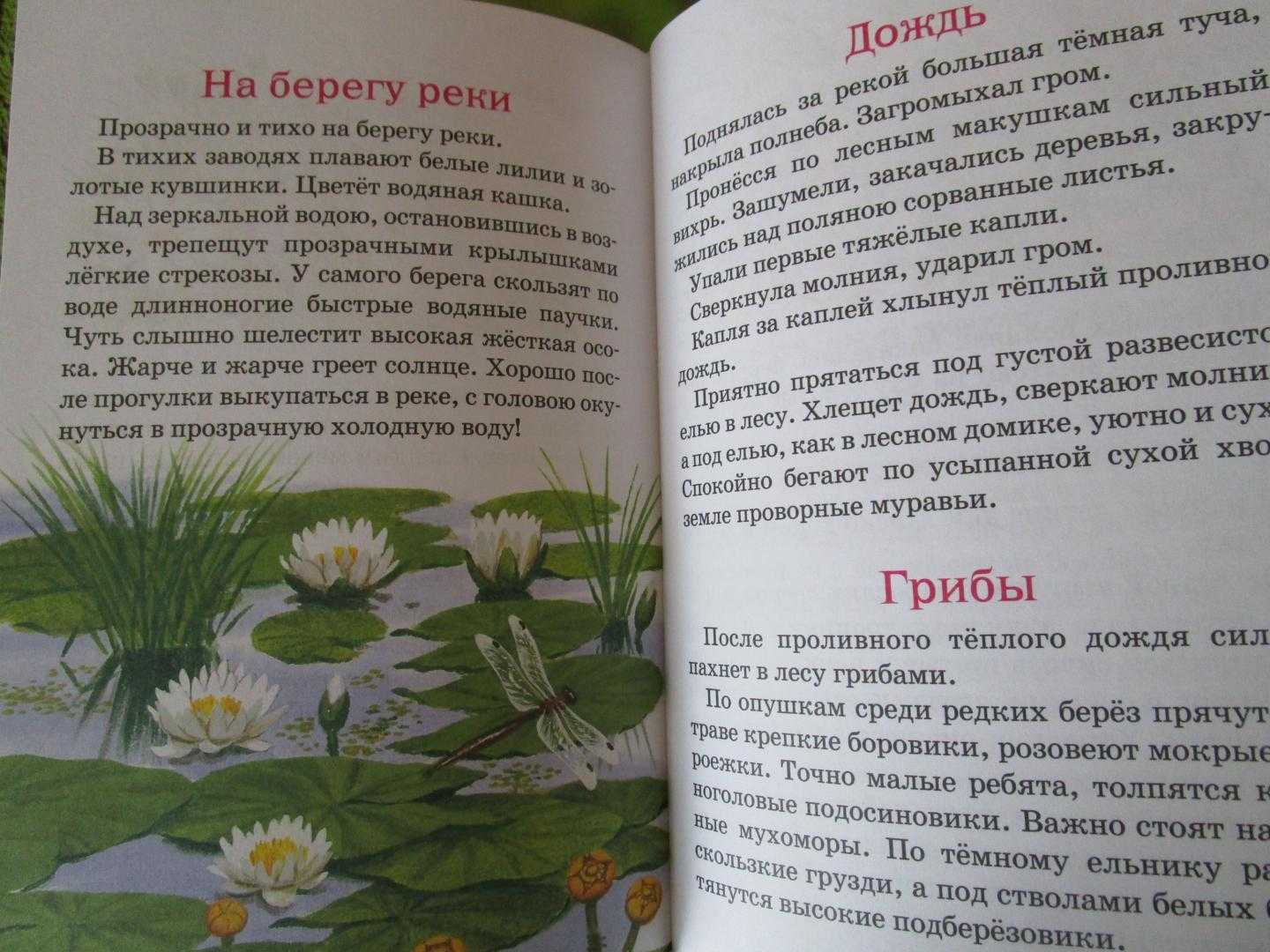 Краткое содержание скребицкий лесной прадедушка?срочно​ - узнавалка.про
