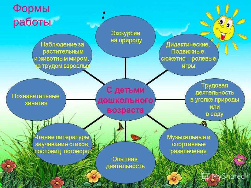 Проект - проект формирование 4к на уроках окружающего мира