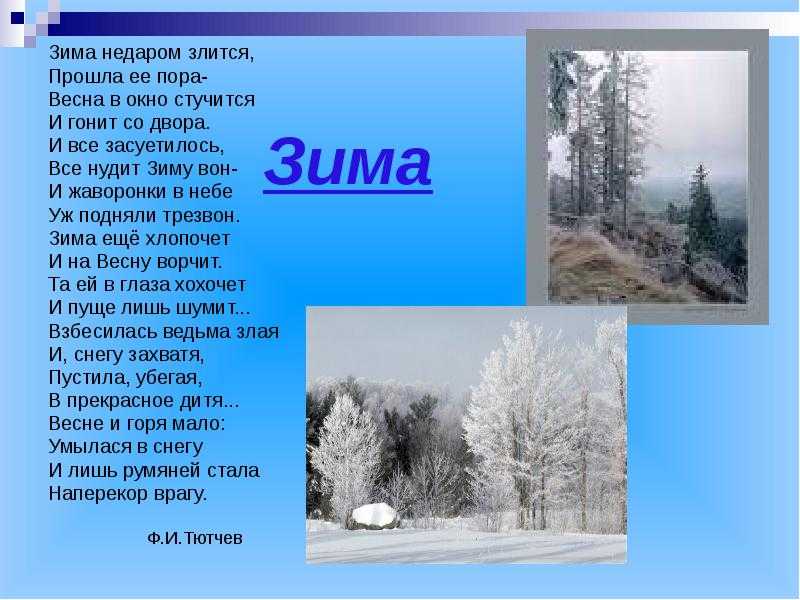 Загадки про весну для детей: 160 загадок с ответами для дошкольников и учеников 1, 2, 3 классов / mama66.ru