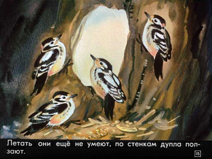 Геннадий снегирёв. рассказы для детей. произведения и биография