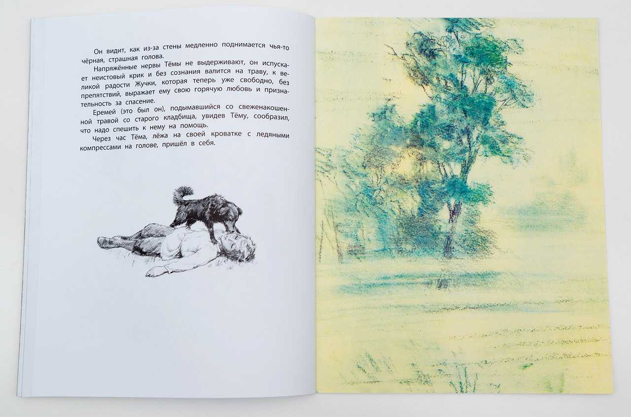 Тёма и жучка — краткое содержание гарин-михайловский