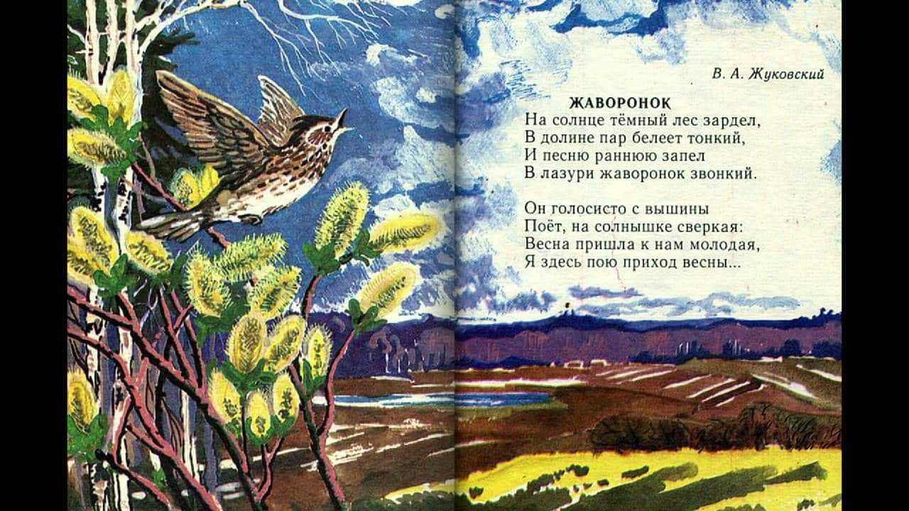 Рассказы о животных бианки, 4 класс