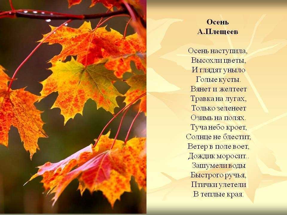 Стихи про осень для детей 6 лет | детские стихи