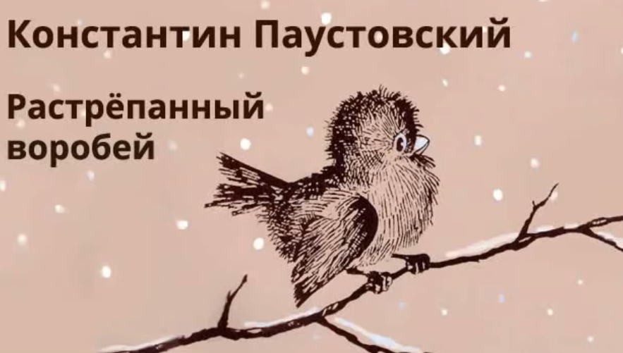 Константин паустовский «растрепанный воробей» анализ героев произведения 3-ий урок (умк "пнш") 3 класс | план-конспект урока по чтению (3 класс):