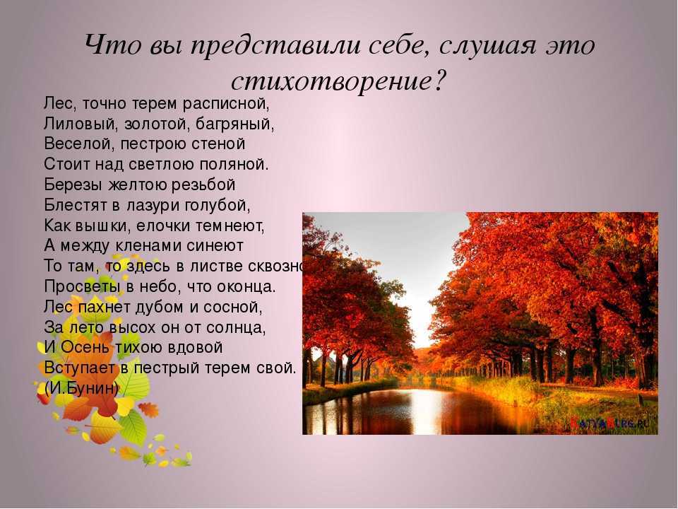 Стихи про осень