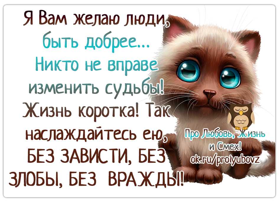 Цитаты о наглости, нахальстве