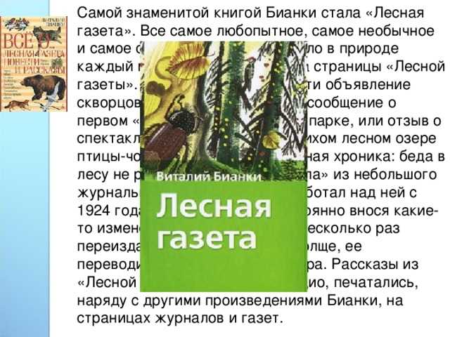 Сочинения по произведению «сова» бианки