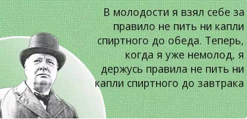 Цитаты про веселье. высказывания и афоризмы о веселье.