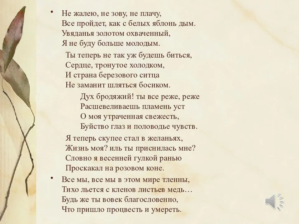 Слон