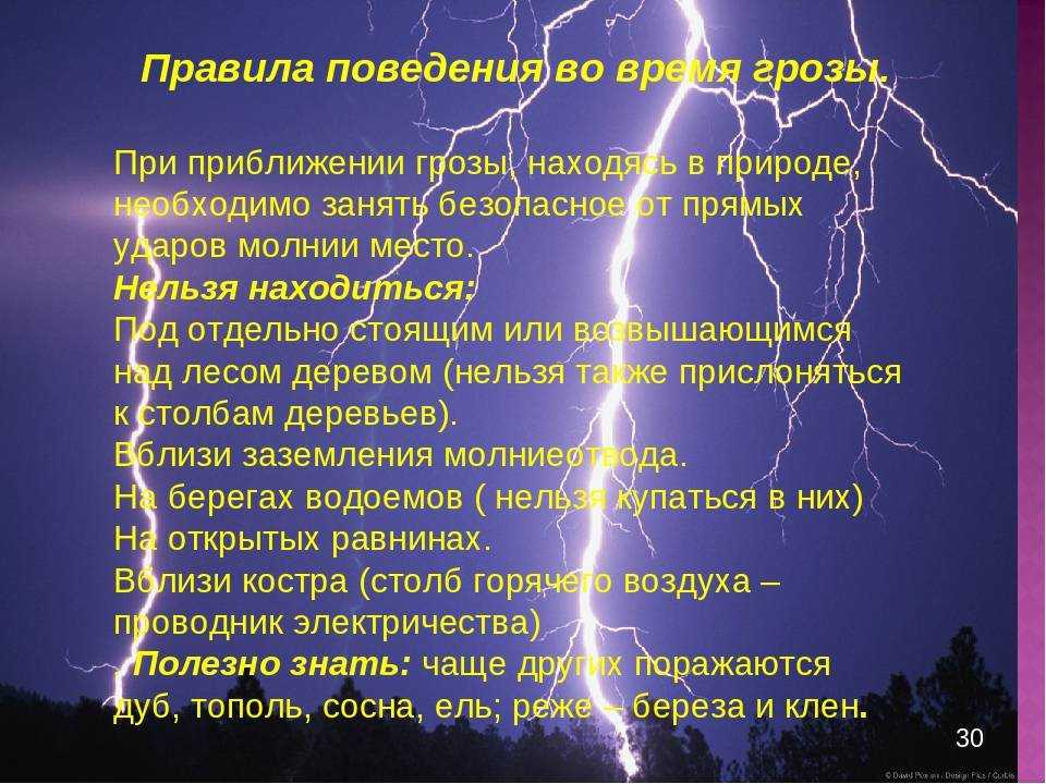 Краткое содержание рассказов толстого булька и кабан, мильтон и булька для читательского дневника. 5-6 предложений.