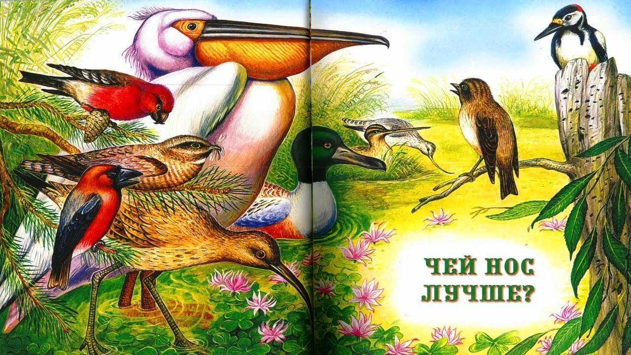Чей нос лучше (бианки виталий валентинович) ⚡️ читать сказку на ryfma