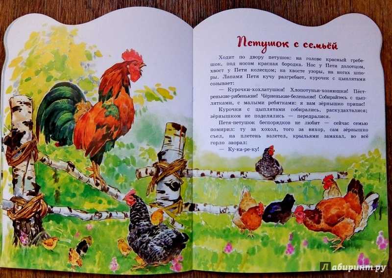 Читать сказку медведь и собака онлайн бесплатно