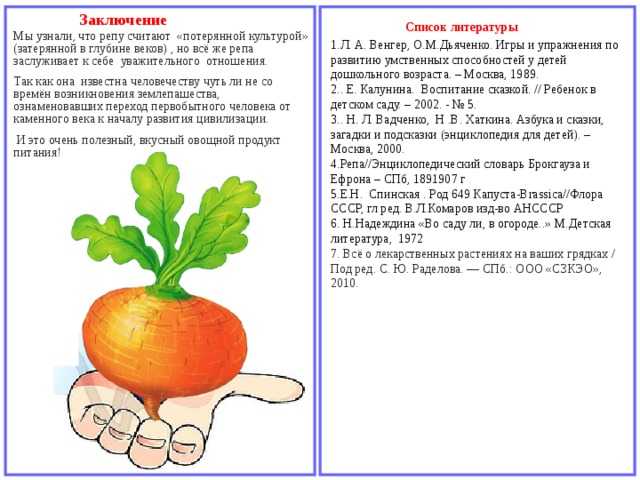 Русская народная сказка репка. когда впервые была опубликована сказка “репка” и другие подробности посадил дед репку читать
