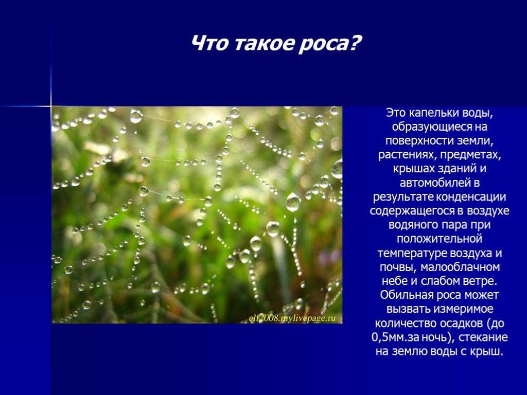 Какая бывает вода на траве. Роса это определение. Роса это 3 класс. Что такое роса для детей. Роса состоит из росинок из капелек пара туман.