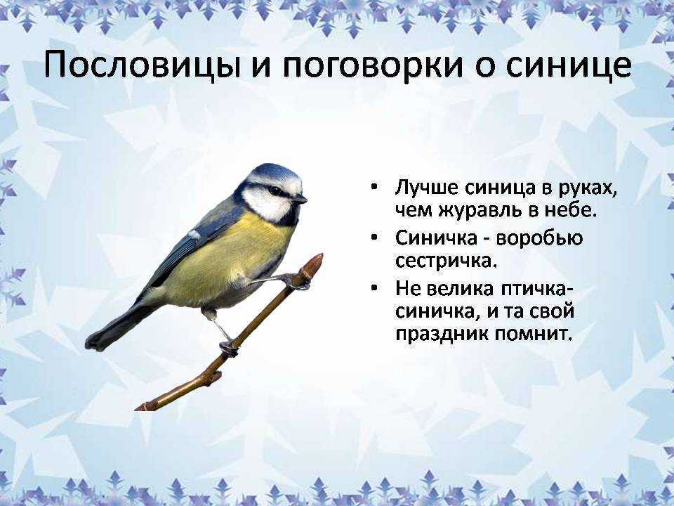 Поговорки про воробьев: короткие, красивые, оригинальные