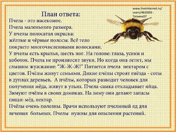 План-конспект занятия на тему
«в гости к пчелам» | дошкольное образование  | современный урок