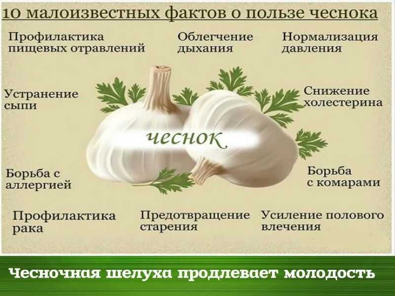Чеснок в блюдах для детей - готовим малышам - страна мам