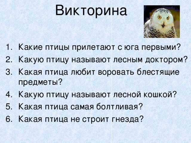 Птицы – наши друзья, берегите птиц Помогайте им в трудные периоды Не уничтожайте птиц Они приносят немало пользы 1 Вступительное слово к викторине