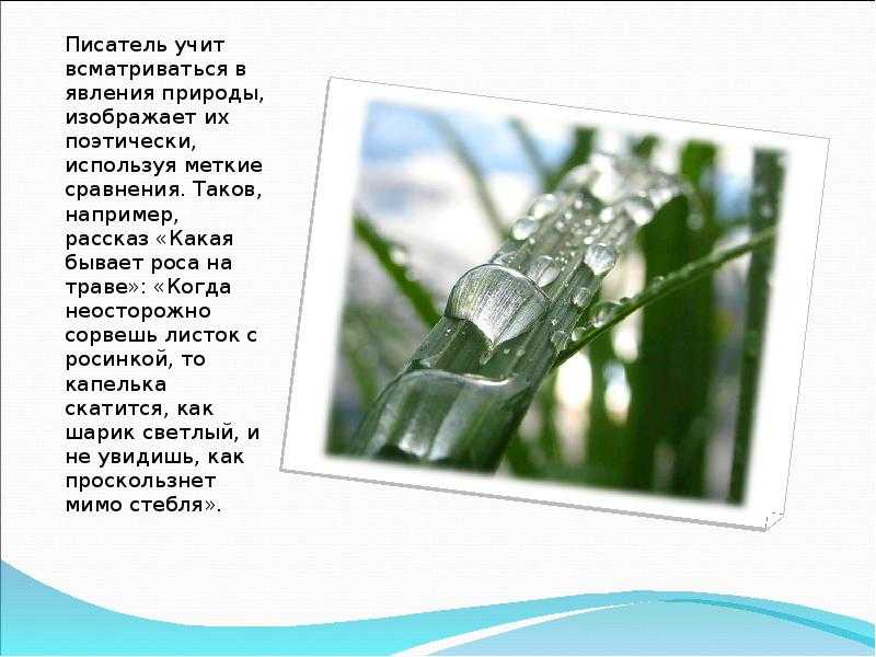 Рассказы для детей — лев николаевич толстой