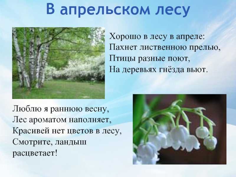 Викторина про весну прикольные. развитие речи