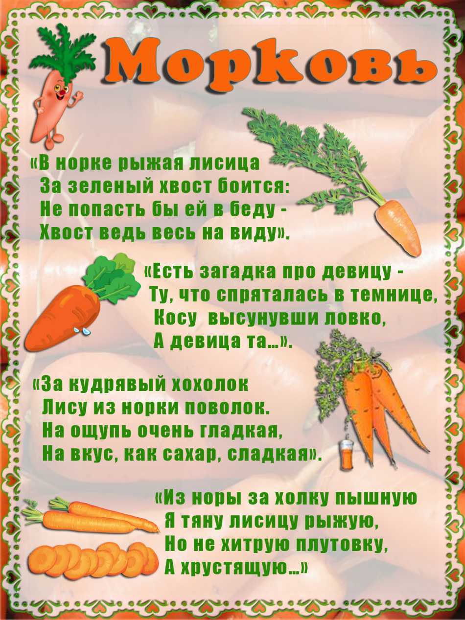 Наш зеленый огород нас прокормит целый год. загадки про овощи для детей