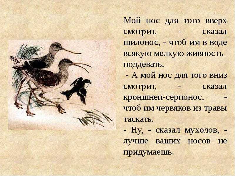 Чей нос лучше — бианки в.в.