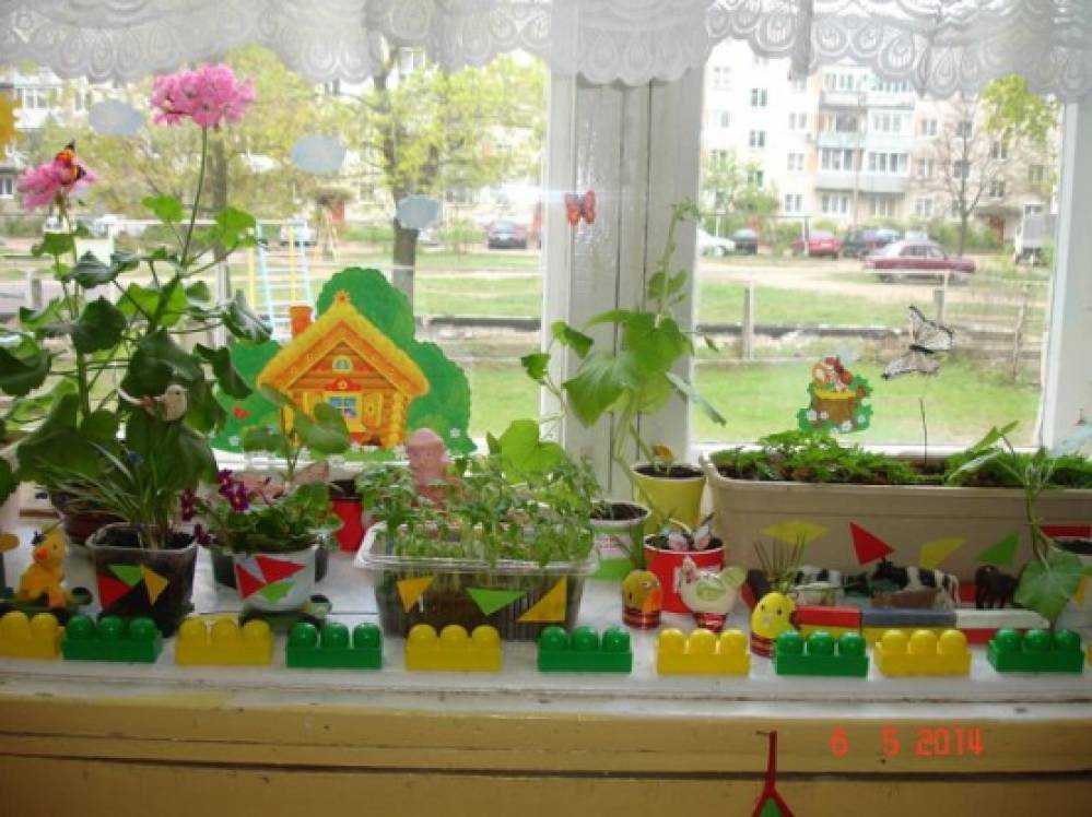 Конкурс сад на окне. Огород на окне в детском саду. Сад на окне в детском саду. Детский огород в детском саду. Огород на подоконнике в детском.