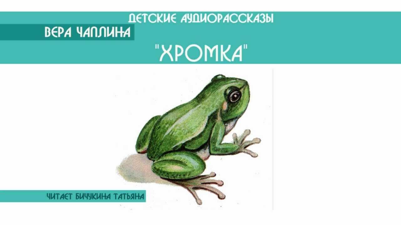 Главные героини рассказа Веры Чаплиной Хромка - девочка Марина, ее бабушка и жаба по имени Хромка Марина и ее бабушка жили на даче и у них были грядки с