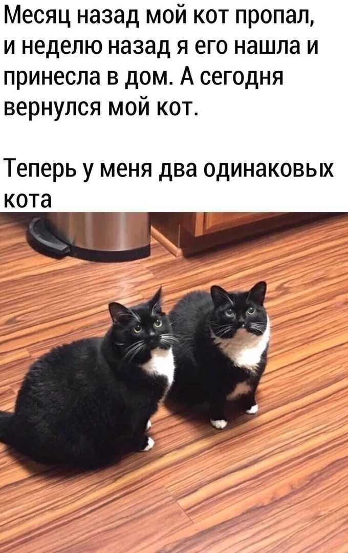 Как избавиться от обидчивости