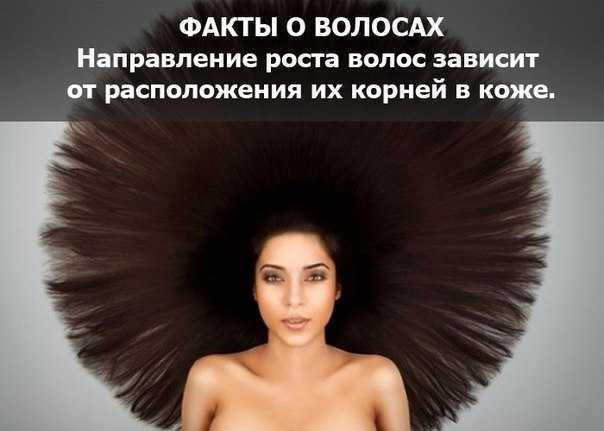 Красивые цитаты о волосах	(170 цитат)