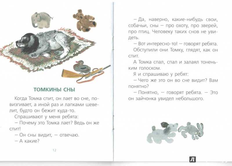 Чарушин «большие и маленькие» читать полностью бесплатно онлайн