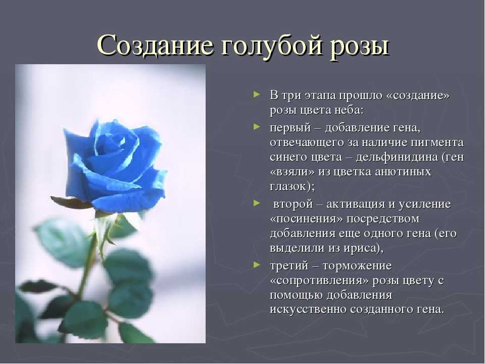 Голубое небо с облаками