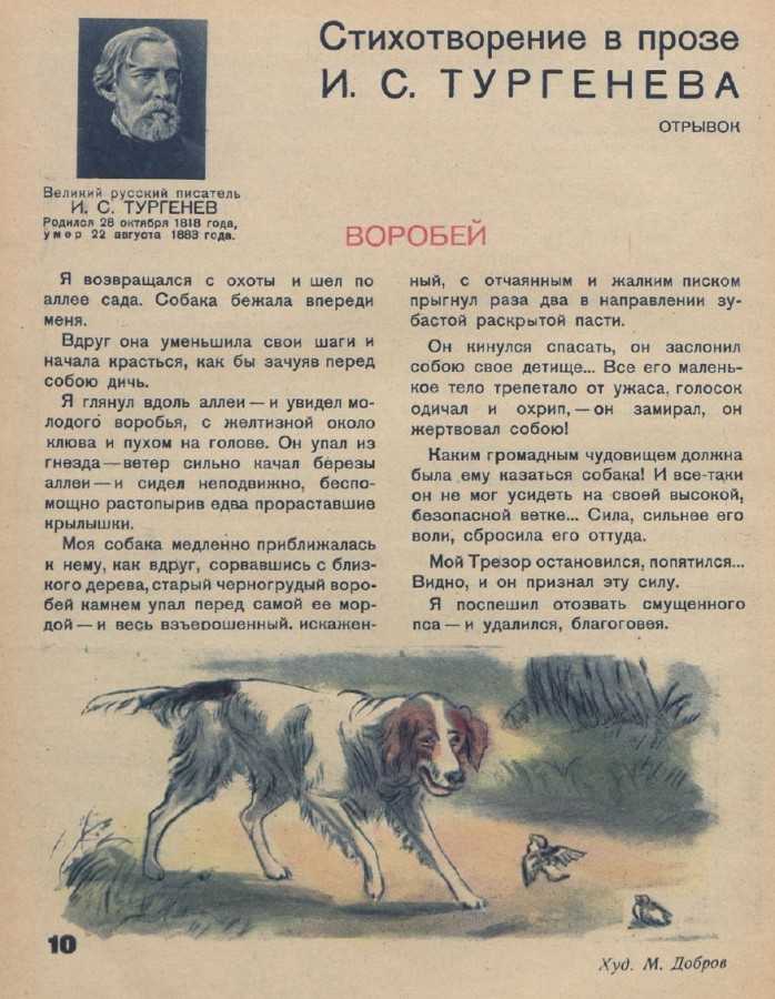 «собака» краткое содержание рассказа тургенева – читать пересказ онлайн