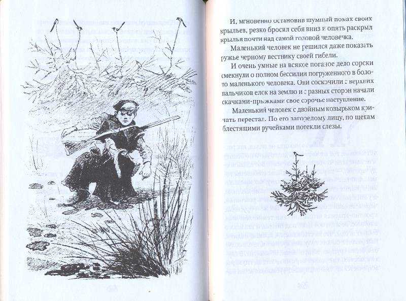 Кладовая солнца. м. м. пришвин