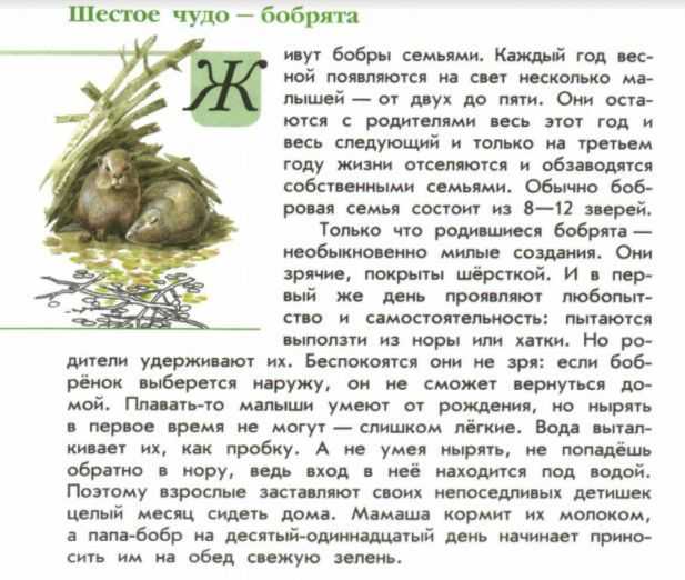 Как проявляют птицы заботу о потомстве. как птицы заботятся о потомстве в дикой природе