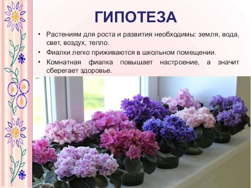 Тайны растений, истории цветов, мифы и легенды