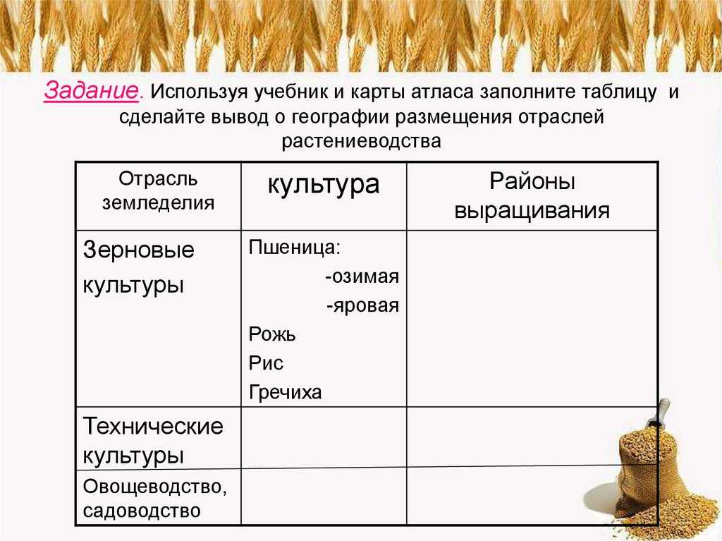 2 главные отрасли сельского хозяйства – растениеводство и животноводство