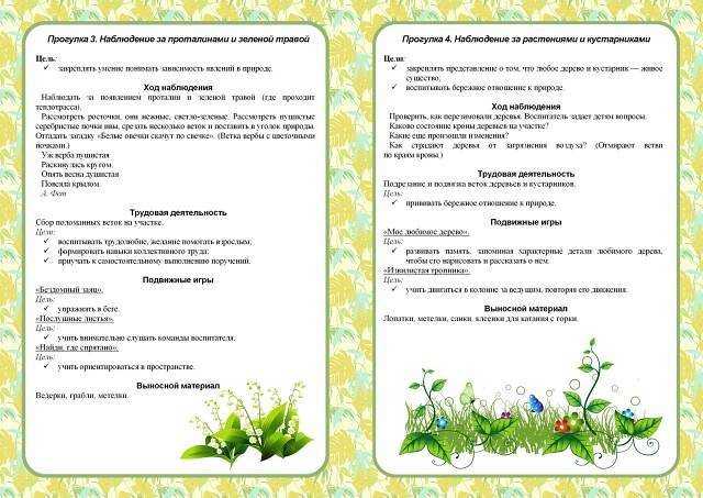 Беседа-презентация в старшей группе доу «что мы знаем о цветущих кустарниках?». воспитателям детских садов, школьным учителям и педагогам - маам.ру