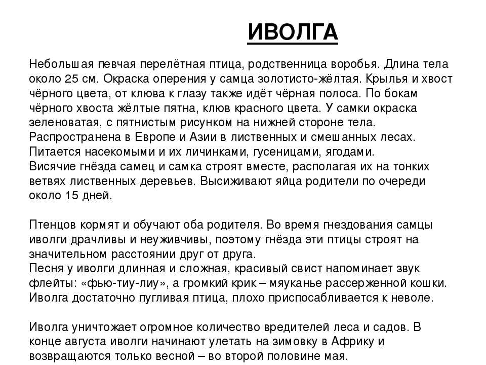 ​50  самых интересных фактов об иволгах — общенет