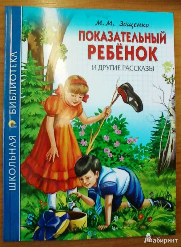 «беда» — краткое содержание рассказа м.м. зощенко для читательского дневника