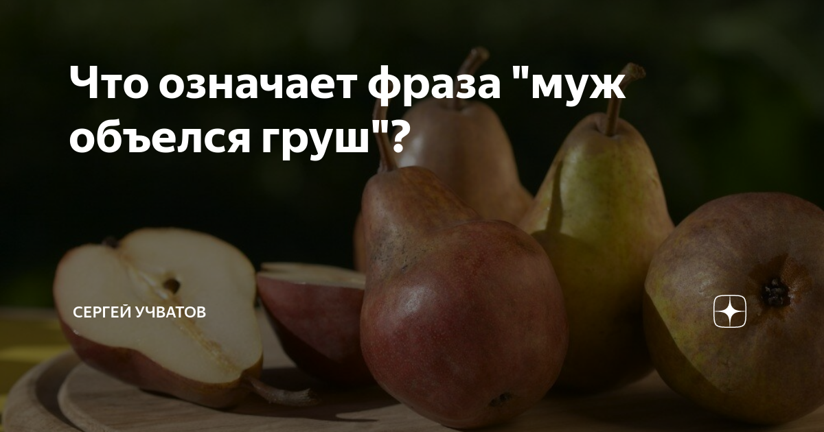 Пословицы, поговорки, приметы о деревьях