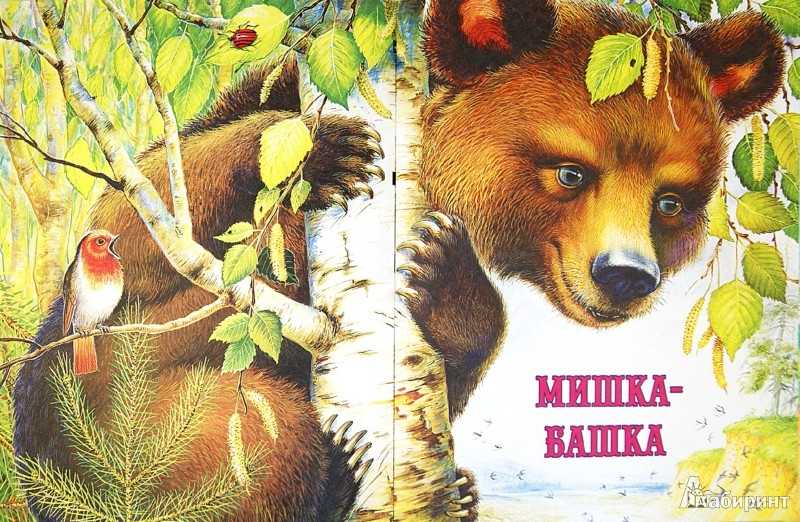 Как вы считаете, умеют ли медведи смеяться Вот главный герой рассказа МПришвина Медведь посчитал, что медведь над ним посмеялся Он на медведя обиделся и