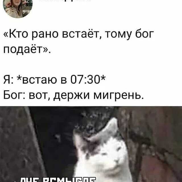 20000 русских пословиц и поговорок
