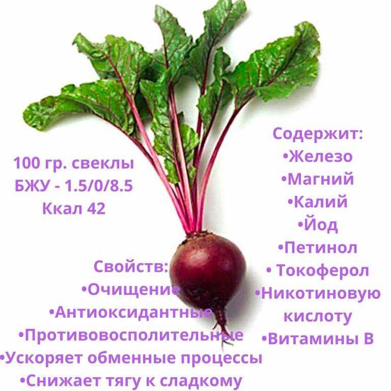 С какого возраста ребенку можно свеклу: основные правила