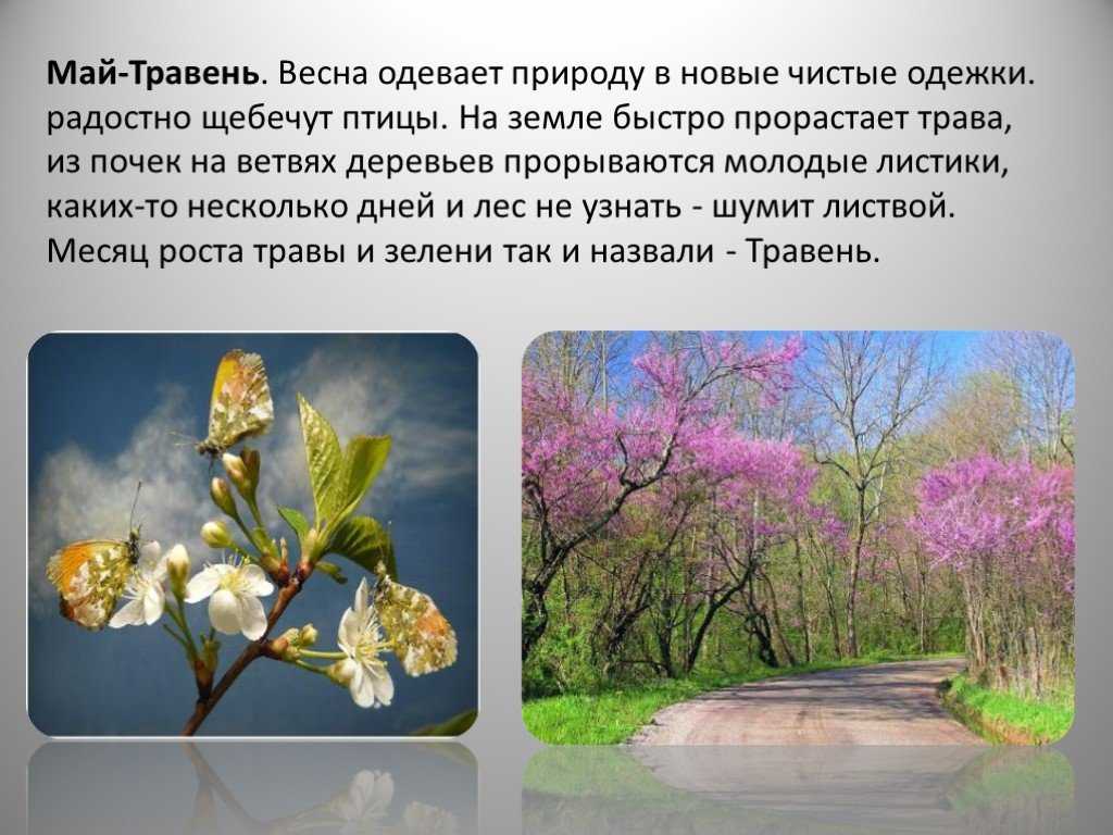 Разговор с ребенком: что такое майские праздники и как рассказать детям о войне и труде