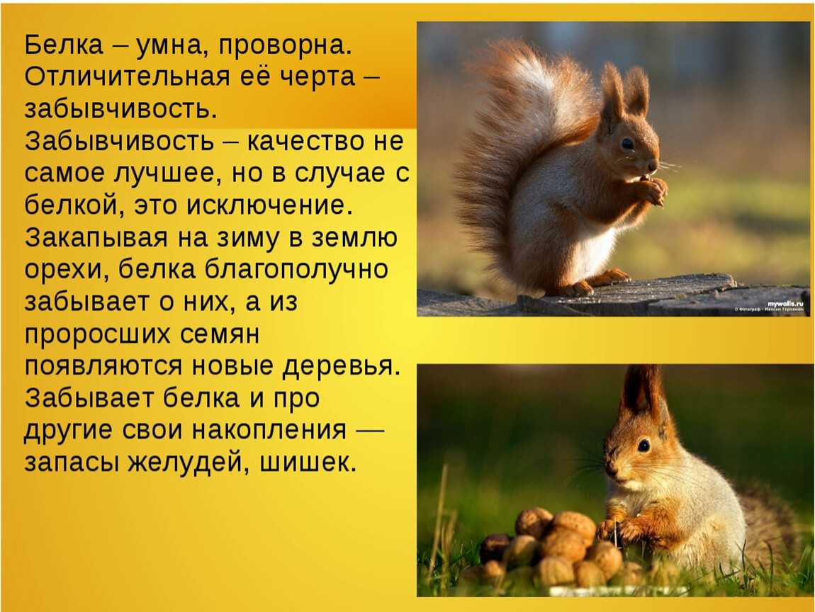 Николай некрасов - мороз-воевода