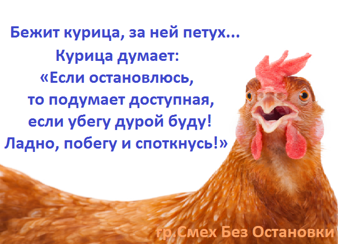 Курица не мясо пословица