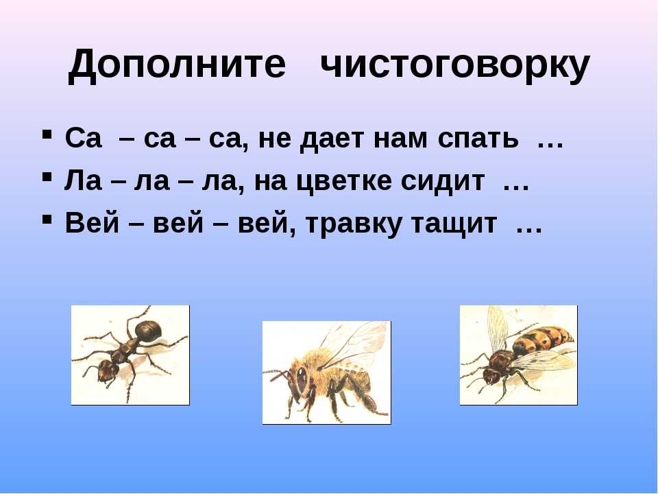 Загадки про насекомых для детей 5. Чистоговорки про насекомых. Чистоговорки насекомые для дошкольников. Насекомые для детей 6-7 лет. Насекомые чтение для дошкольников.