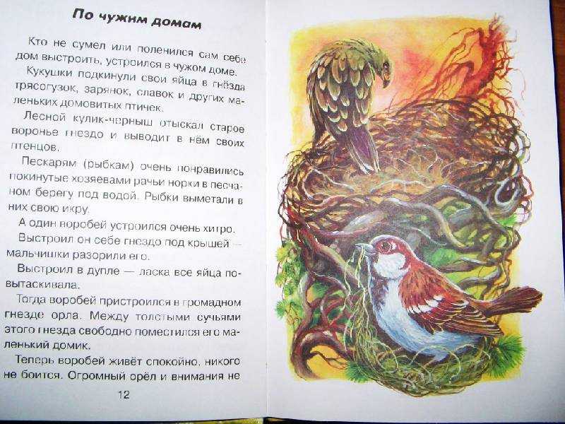 Мышонок пик - сказка виталия бианки – сказки. рассказы. стихи.