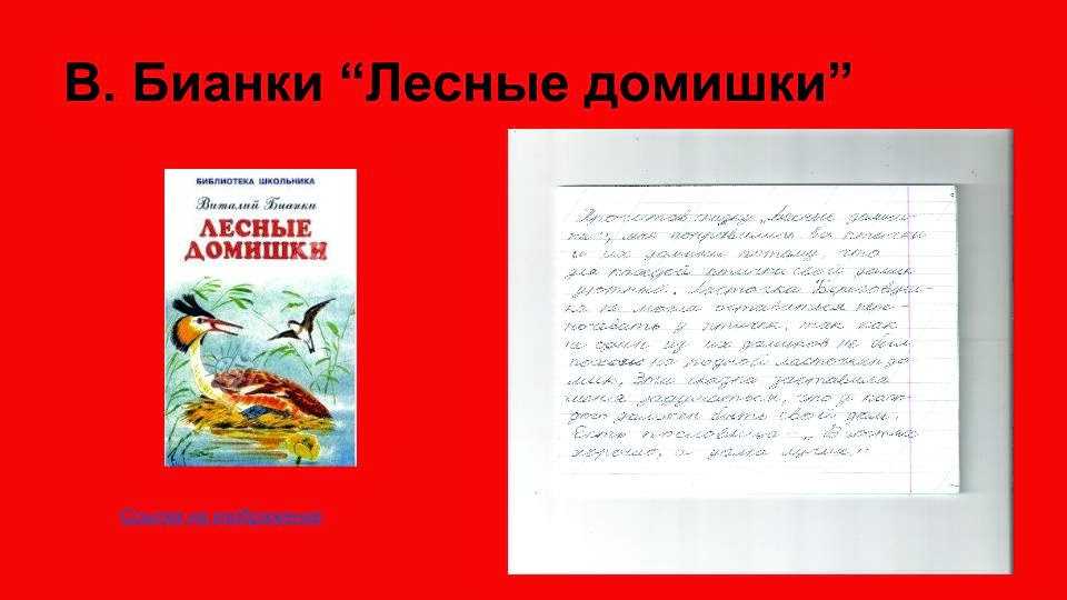 Краткое содержание лесные домишки бианки точный пересказ сюжета за 5 минут